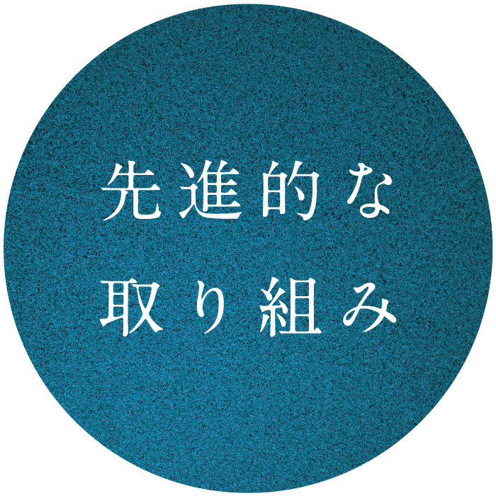 先進的な取り組み